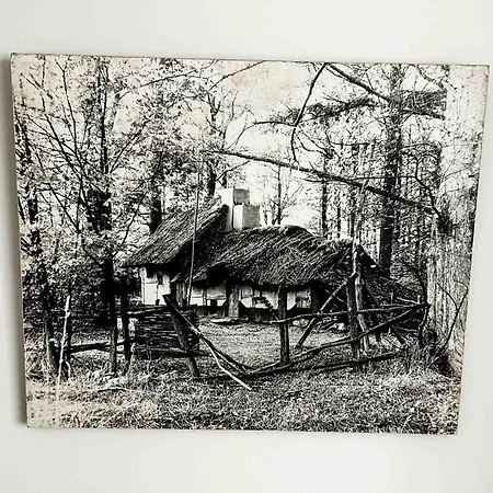 Farm stay Lawendowa Kaczki Srednie