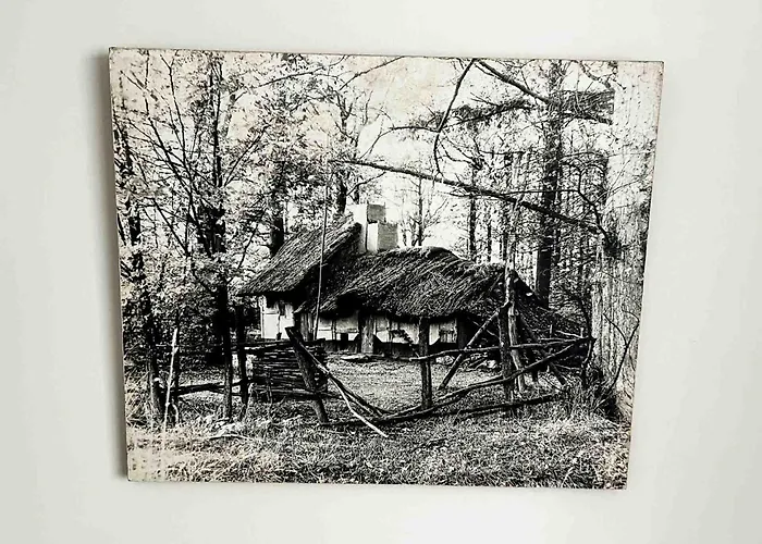 Farm stay Lawendowa Kaczki Srednie