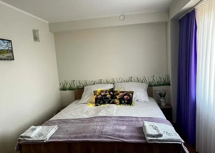 Lawendowa Kaczki Srednie