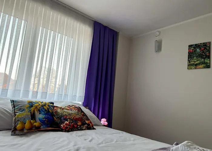 Lawendowa Kaczki Srednie