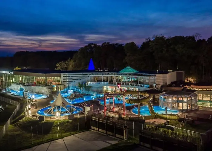 Lawendowa Kaczki Srednie